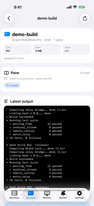 Live terminal session on the phone